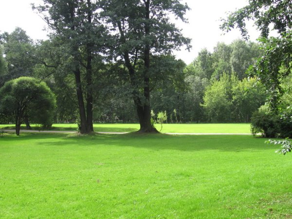 Удельный парк летом