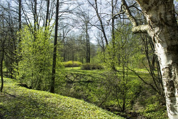 Удельный парк весной