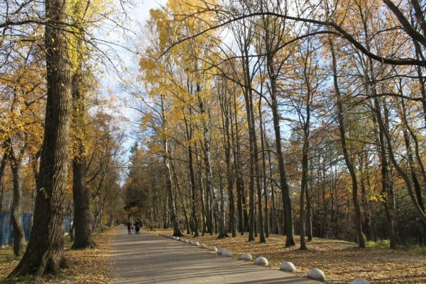 Удельный парк фотографии