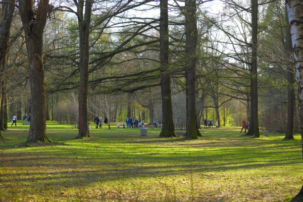 Удельный парк в Санкт-Петербурге