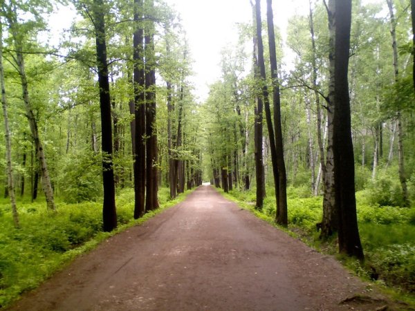 Парк Челюскинцев Санкт-Петербург