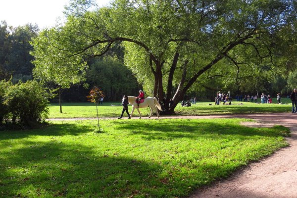 Удельный парк СПБ