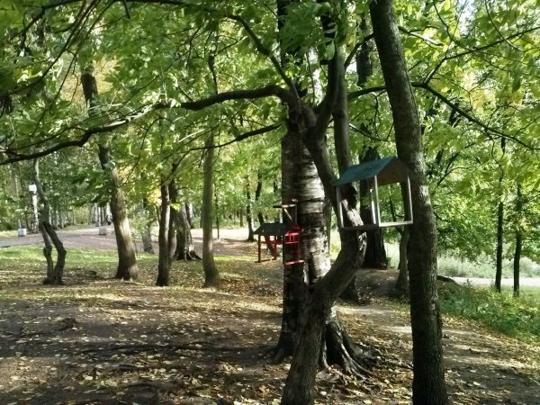 Пионерская удельный парк