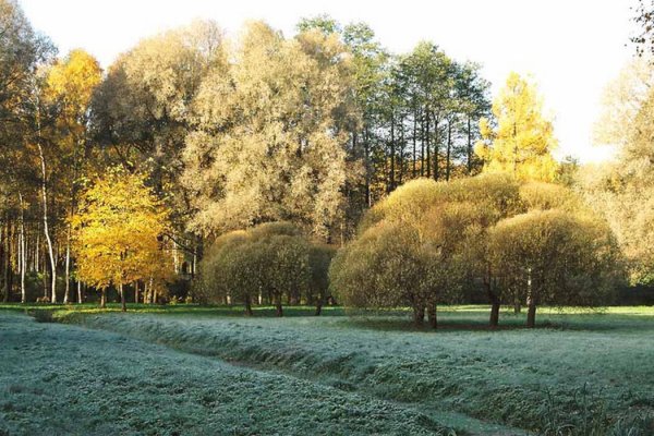 Парк Челюскинцев Санкт-Петербург