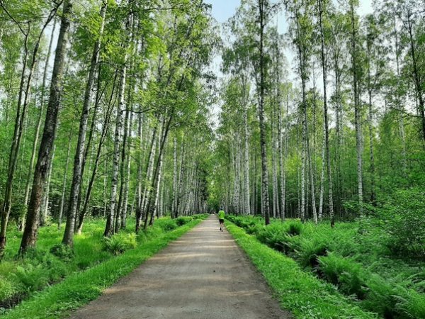 Удельный парк