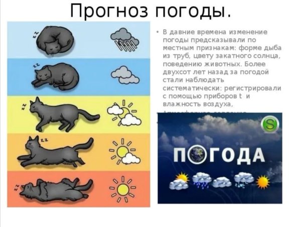 Признаки предсказывающие погоду