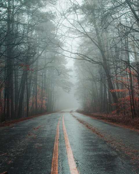Осень туман