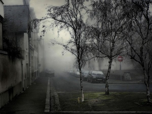 Пасмурная осень в городе
