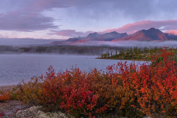 Колыма озеро Джека Лондона