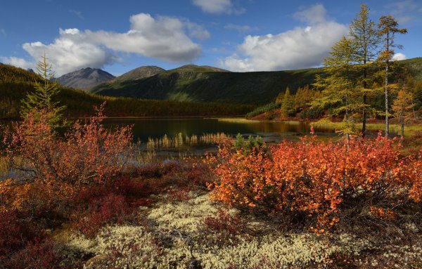 Колыма озеро Джека Лондона