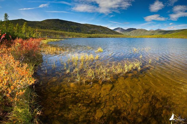 Природа озера Джека Лондона в Магаданской области