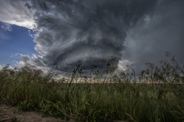 Природа в разных состояниях