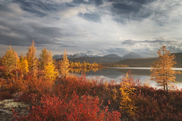Озеро Джека Лондона осень