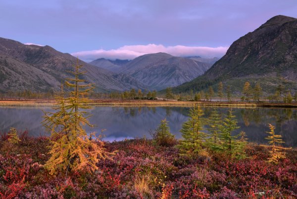 Колыма озеро Джека Лондона