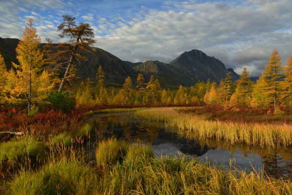 Природа озера Джека Лондона в Магаданской области