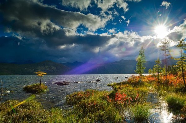 Озеро танцующих хариусов Магаданская область