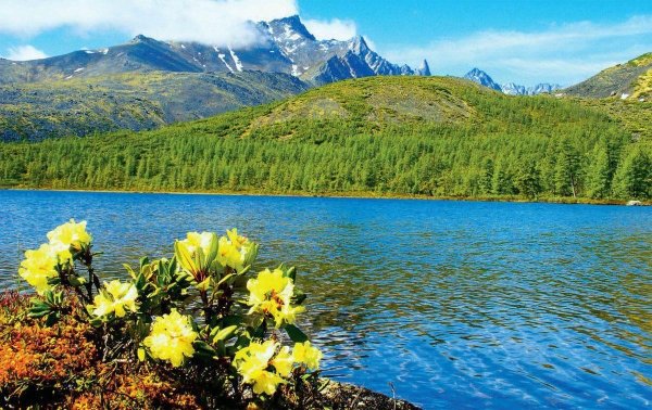 Озеро Джека Лондона Магадан летом