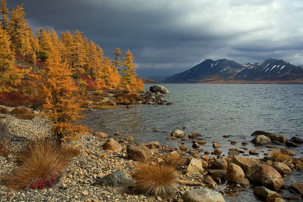 Озеро Джека Лондона Магаданская область осень