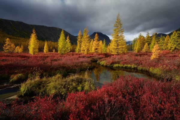 Озеро Джека Лондона осенью