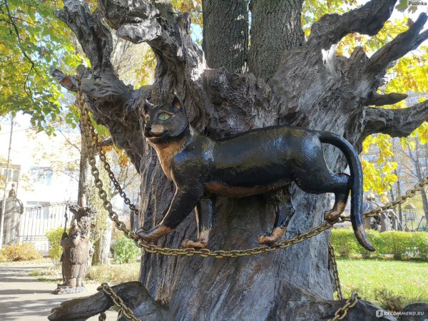 Совхоз имени Ленина парк Лукоморье 2022