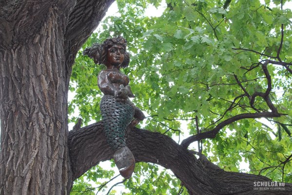 Дуб парк Лукоморье Магнитогорск