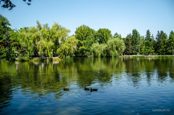Саратовский Горпарк Лукоморье