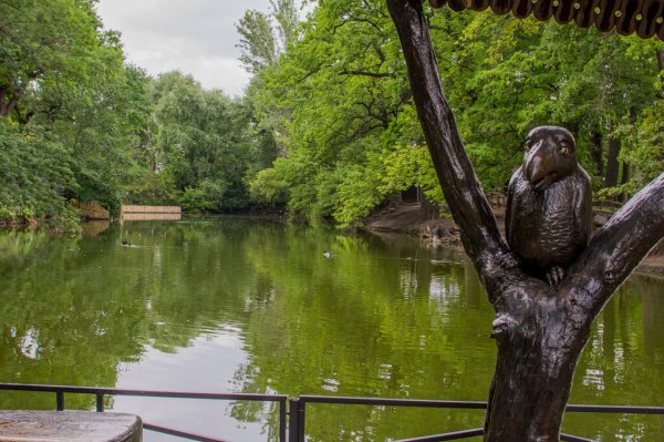 Парк Лукоморье Саратов