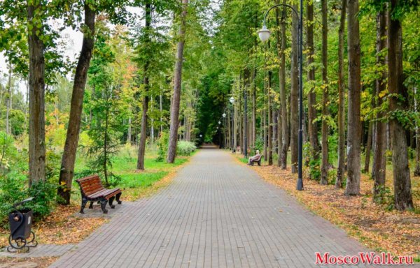 Томилино лесопарк