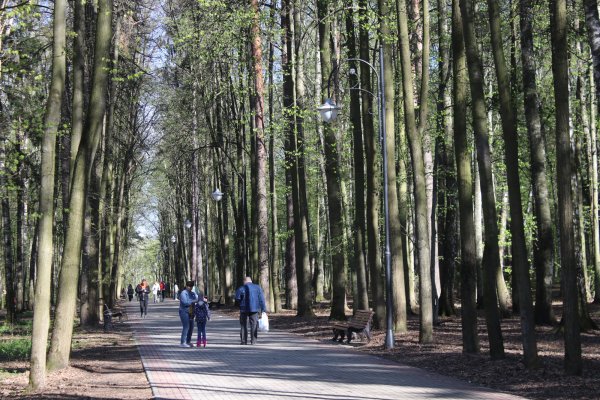 Томилино парк