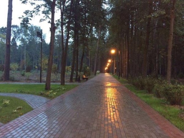 Томилино парк парк