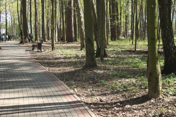 Парк сказок Томилино