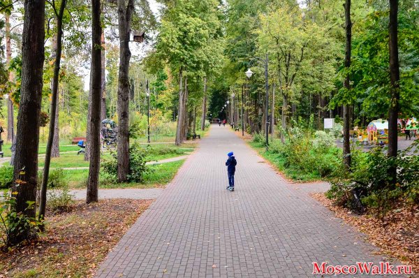 Томилино лесопарк