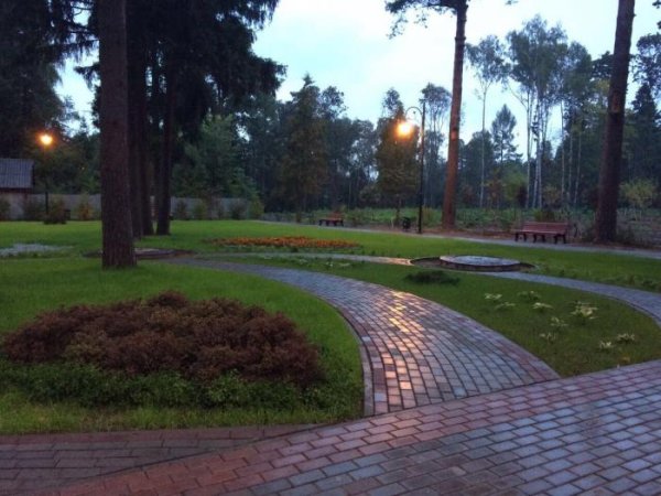 Томилино парк парк