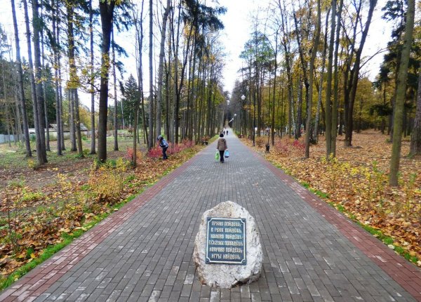 Томилинский парк Люберцы