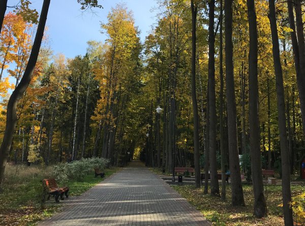 Люберцы Томилинский лесопарк