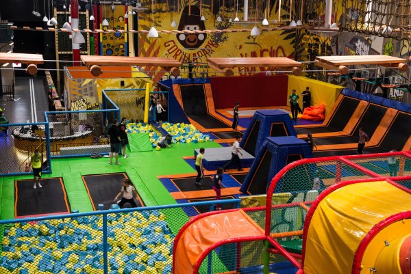 Горилла парк Питер