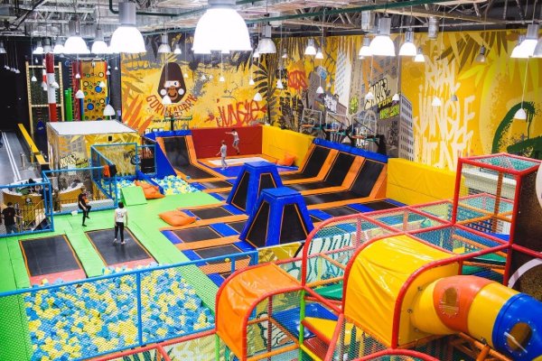 Горилла парк Питер