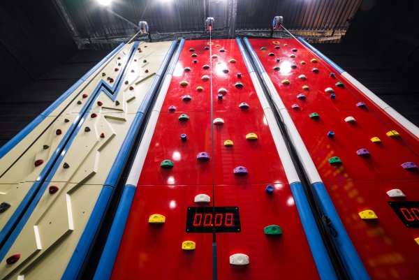 Горилла парк Питер