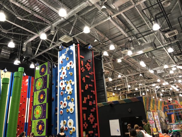 Горилла парк Санкт-Петербург 5 озер