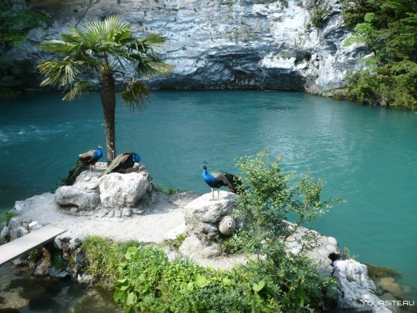 Озеро Рица Абхазия голубое озеро