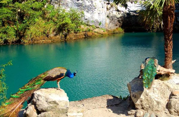 Гагры Абхазия голубое озеро