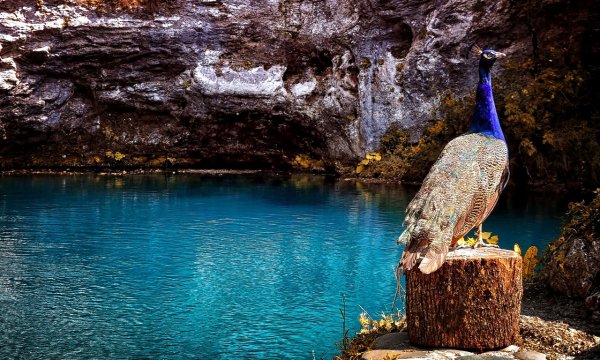 Абхазия Пицунда голубое озеро