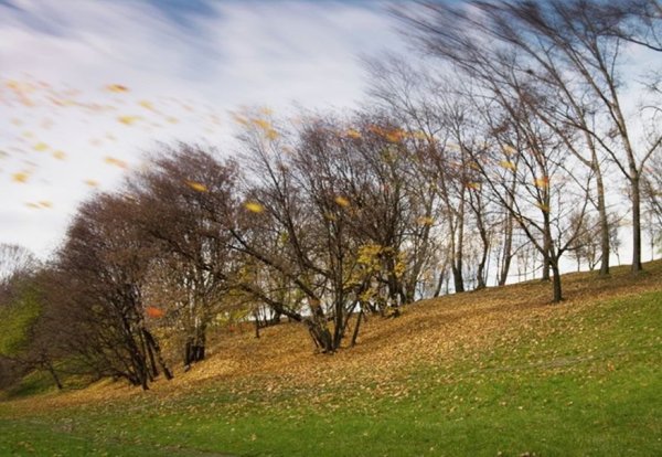 Сильный ветер осенью