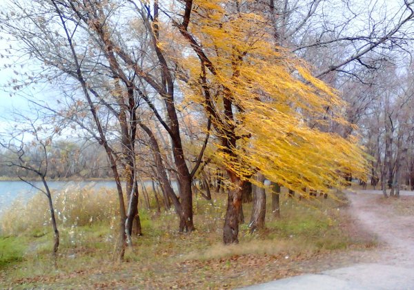 Осень ветер