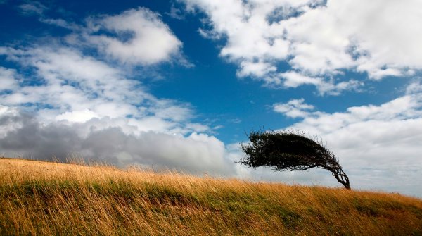 Сильный ветер лето