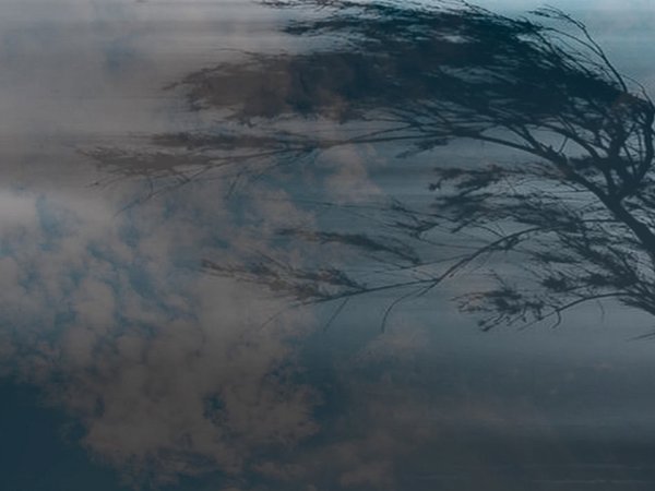 Сильный ветер