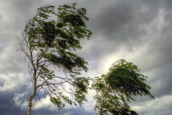 Сильный ветер