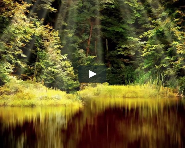 Лядов волшебное озеро Жанр