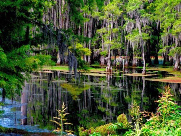 Волшебное озеро Лядов