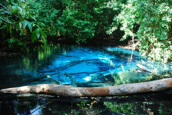 Волшебное озеро Лядов